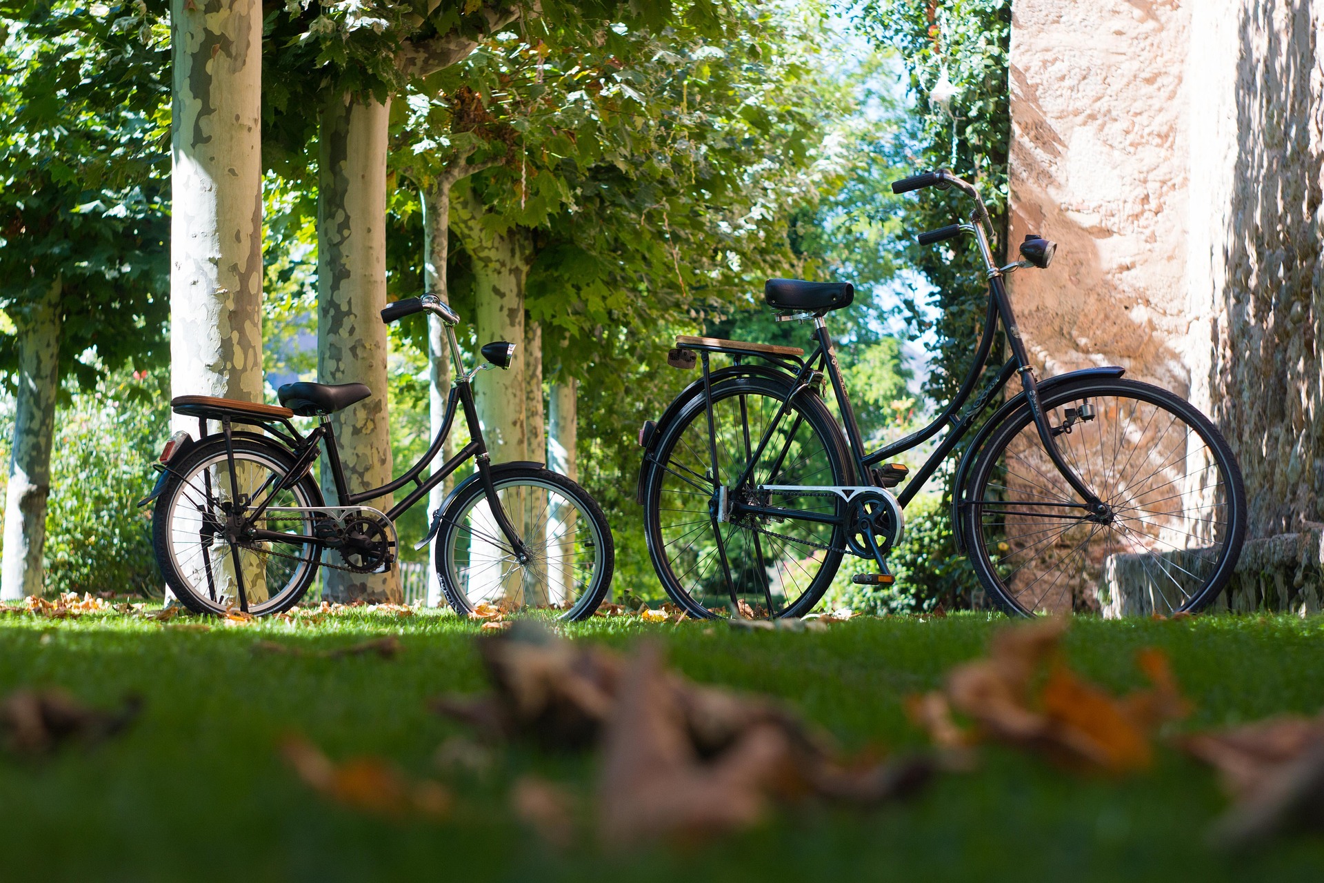 fahrrad-fahren-rostocker-heide
