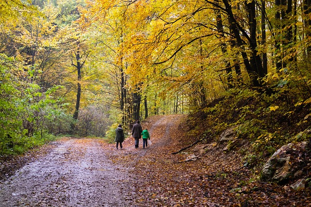 wandern-rostocker-heide